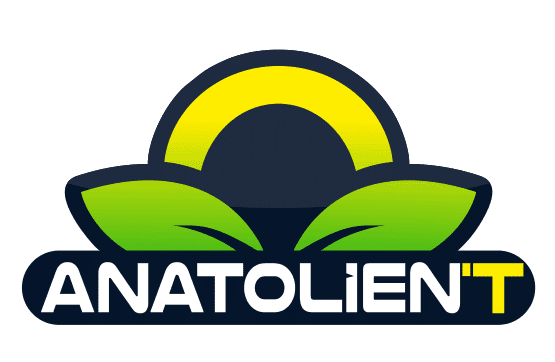 Anatolient